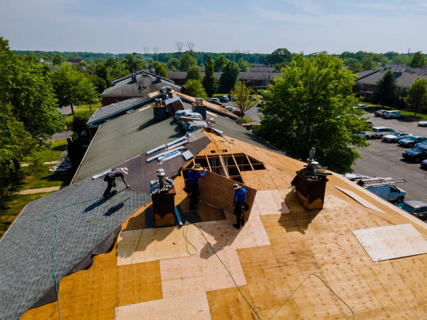 24/7 Emergency Flat Roof Repair experts in Greeley, CO